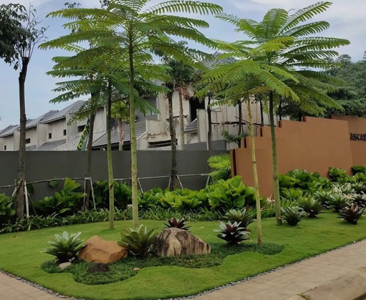Inspirasi Taman Rumah Modern yang Nyaman dan Asri